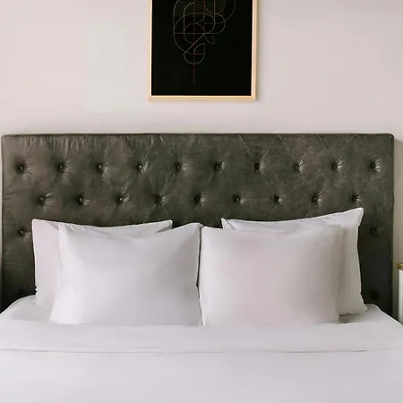 酒店 S&a Vondel Park 3*